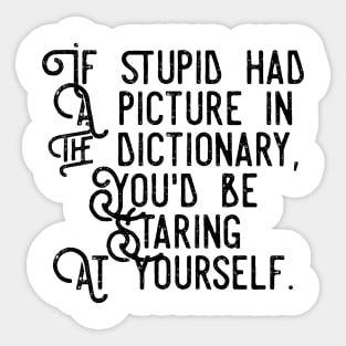 if stupid had a picture in the dictionary you'd be staring at yourself Sticker